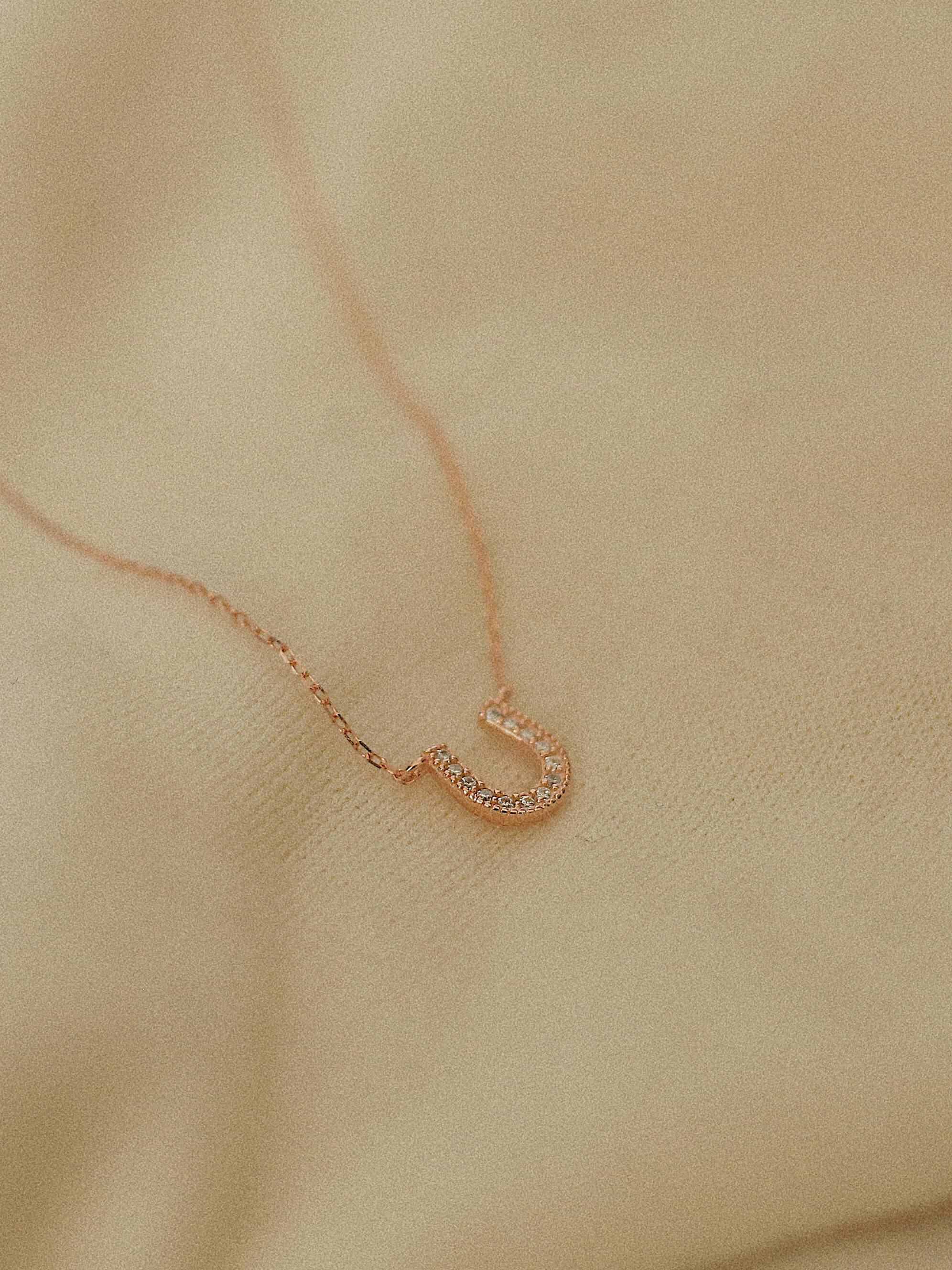 Rose Gold Horseshoe Necklace
